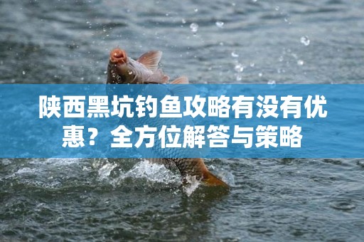 陕西黑坑钓鱼攻略有没有优惠？全方位解答与策略