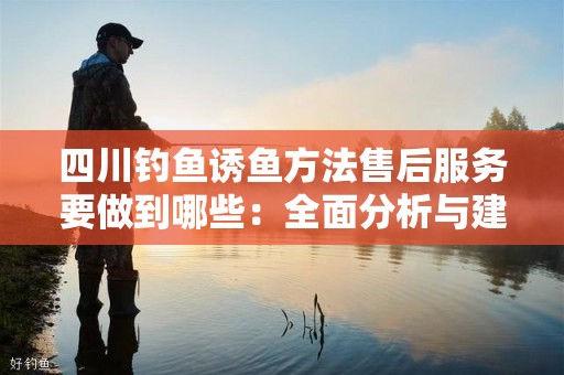 四川钓鱼诱鱼方法售后服务要做到哪些：全面分析与建议