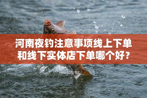 河南夜钓注意事项线上下单和线下实体店下单哪个好？