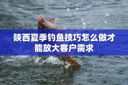 陕西夏季钓鱼技巧怎么做才能放大客户需求