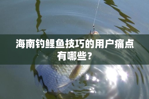 海南钓鲤鱼技巧的用户痛点有哪些？