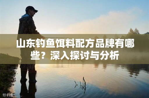山东钓鱼饵料配方品牌有哪些？深入探讨与分析