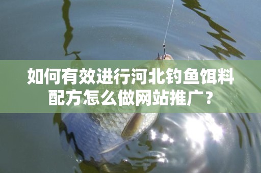 如何有效进行河北钓鱼饵料配方怎么做网站推广？
