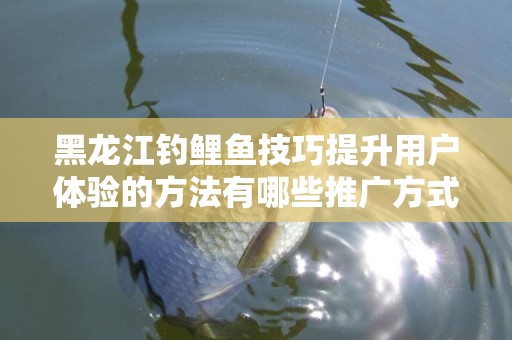 黑龙江钓鲤鱼技巧提升用户体验的方法有哪些推广方式有哪些