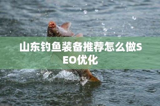 山东钓鱼装备推荐怎么做SEO优化