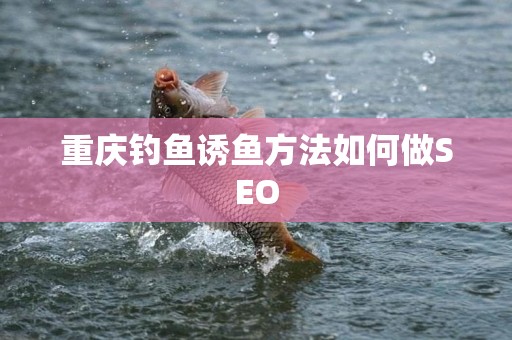 重庆钓鱼诱鱼方法如何做SEO