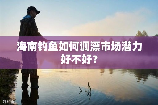 海南钓鱼如何调漂市场潜力好不好？