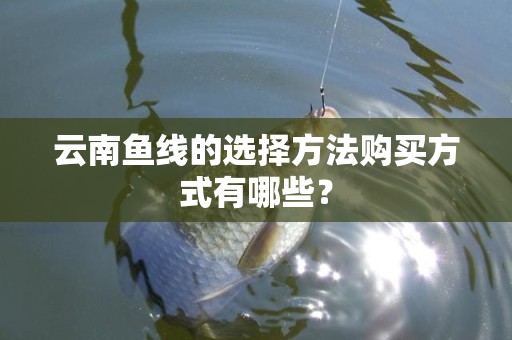 云南鱼线的选择方法购买方式有哪些？