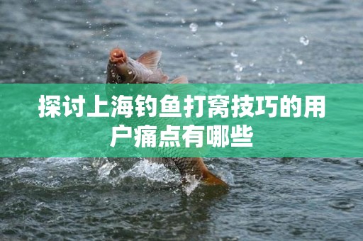 探讨上海钓鱼打窝技巧的用户痛点有哪些