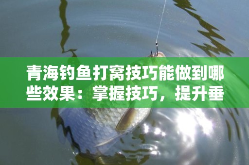 青海钓鱼打窝技巧能做到哪些效果：掌握技巧，提升垂钓乐趣