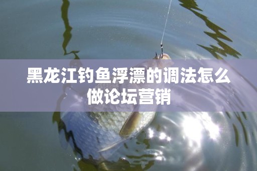 黑龙江钓鱼浮漂的调法怎么做论坛营销