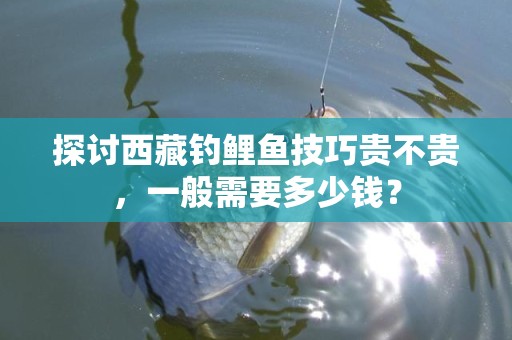 探讨西藏钓鲤鱼技巧贵不贵，一般需要多少钱？
