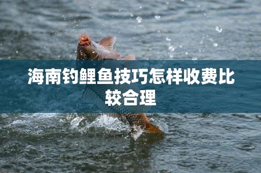 海南钓鲤鱼技巧怎样收费比较合理