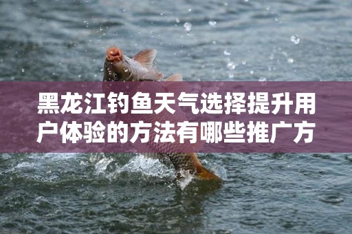 黑龙江钓鱼天气选择提升用户体验的方法有哪些推广方式有哪些