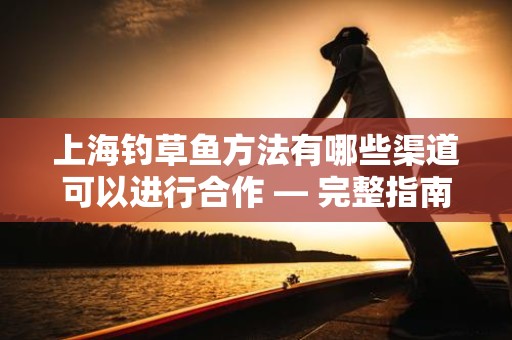 上海钓草鱼方法有哪些渠道可以进行合作 — 完整指南