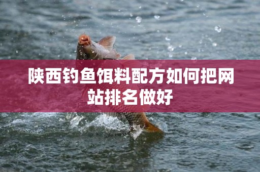 陕西钓鱼饵料配方如何把网站排名做好