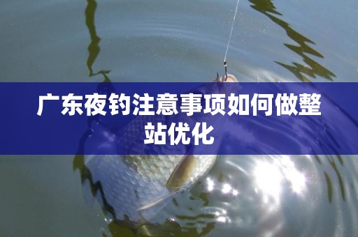 广东夜钓注意事项如何做整站优化