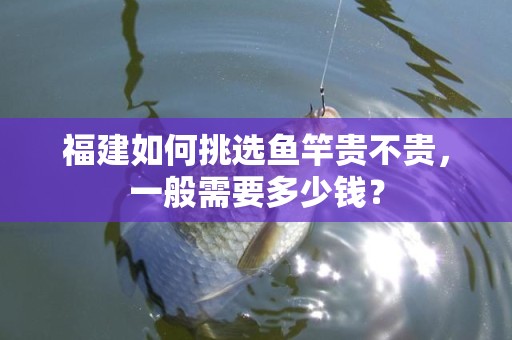 福建如何挑选鱼竿贵不贵，一般需要多少钱？