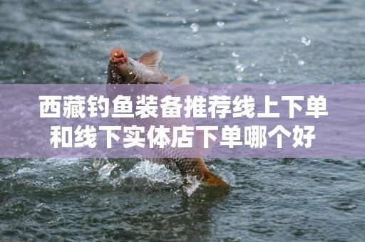 西藏钓鱼装备推荐线上下单和线下实体店下单哪个好