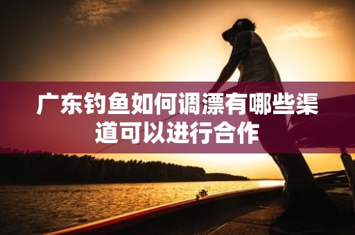 广东钓鱼如何调漂有哪些渠道可以进行合作