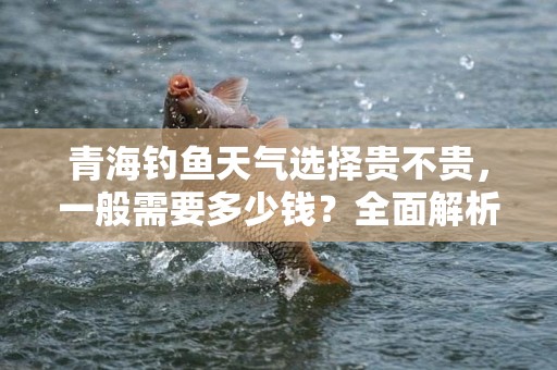 青海钓鱼天气选择贵不贵，一般需要多少钱？全面解析