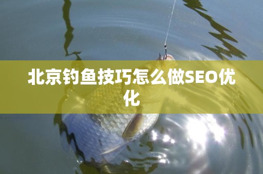 北京钓鱼技巧怎么做SEO优化