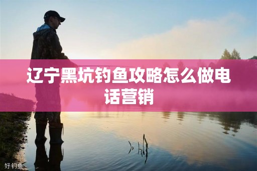 辽宁黑坑钓鱼攻略怎么做电话营销