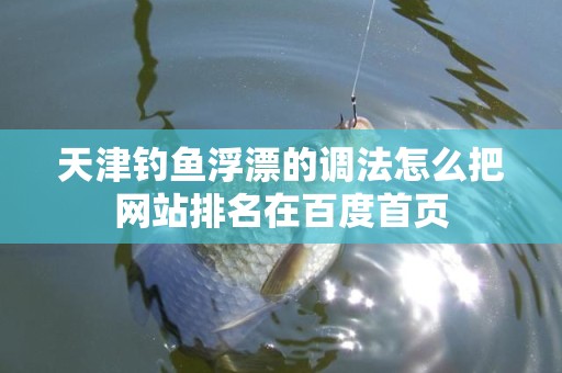 天津钓鱼浮漂的调法怎么把网站排名在百度首页