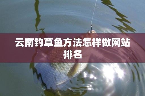 云南钓草鱼方法怎样做网站排名