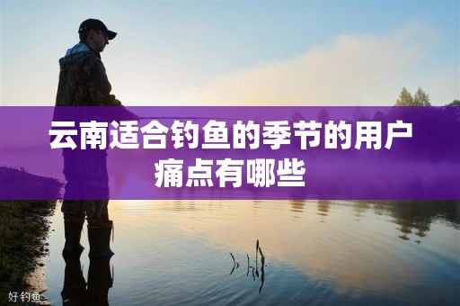 云南适合钓鱼的季节的用户痛点有哪些