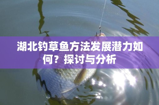 湖北钓草鱼方法发展潜力如何？探讨与分析