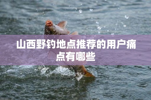 山西野钓地点推荐的用户痛点有哪些