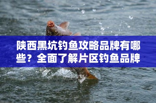 陕西黑坑钓鱼攻略品牌有哪些？全面了解片区钓鱼品牌与技巧