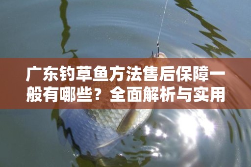 广东钓草鱼方法售后保障一般有哪些？全面解析与实用技巧