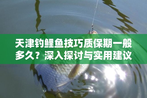 天津钓鲤鱼技巧质保期一般多久？深入探讨与实用建议