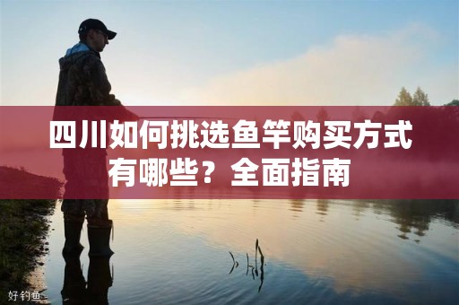 四川如何挑选鱼竿购买方式有哪些？全面指南