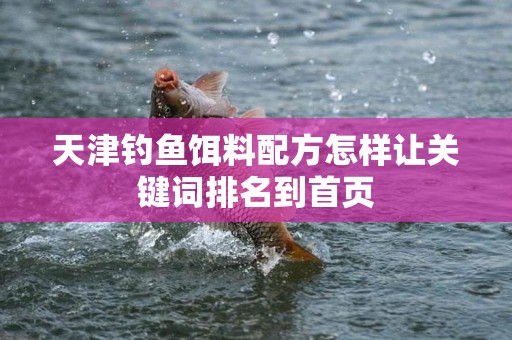 天津钓鱼饵料配方怎样让关键词排名到首页
