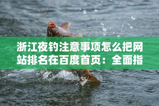 浙江夜钓注意事项怎么把网站排名在百度首页：全面指南