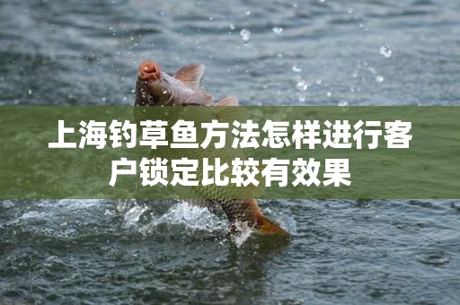 上海钓草鱼方法怎样进行客户锁定比较有效果