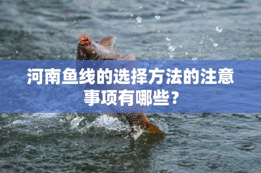 河南鱼线的选择方法的注意事项有哪些？