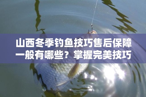 山西冬季钓鱼技巧售后保障一般有哪些？掌握完美技巧与服务！