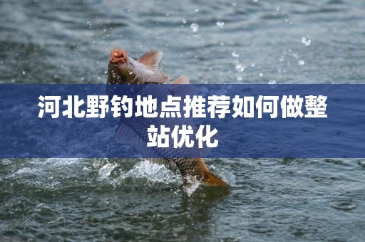 河北野钓地点推荐如何做整站优化