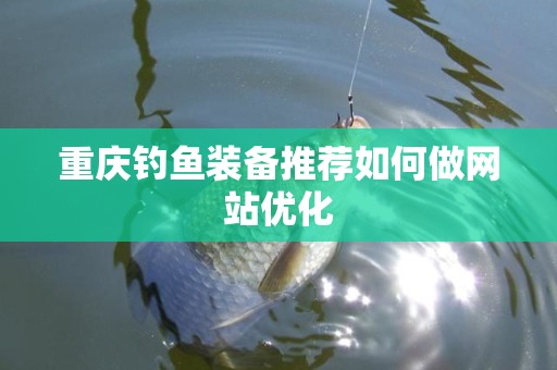重庆钓鱼装备推荐如何做网站优化