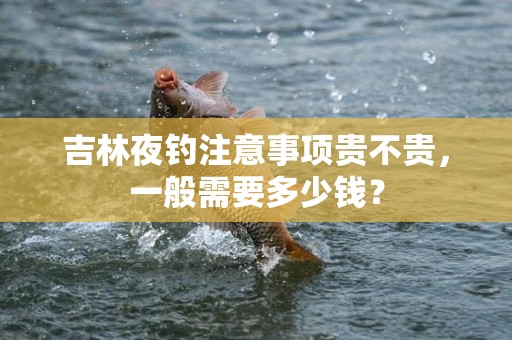 吉林夜钓注意事项贵不贵，一般需要多少钱？