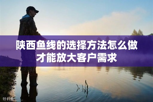 陕西鱼线的选择方法怎么做才能放大客户需求