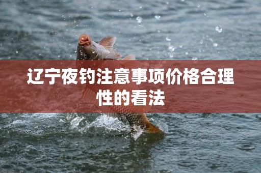 辽宁夜钓注意事项价格合理性的看法