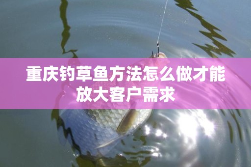 重庆钓草鱼方法怎么做才能放大客户需求
