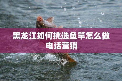 黑龙江如何挑选鱼竿怎么做电话营销