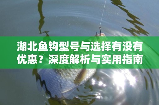 湖北鱼钩型号与选择有没有优惠？深度解析与实用指南