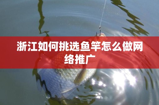 浙江如何挑选鱼竿怎么做网络推广